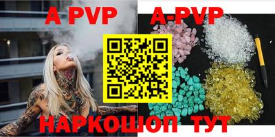 гашик Гусев