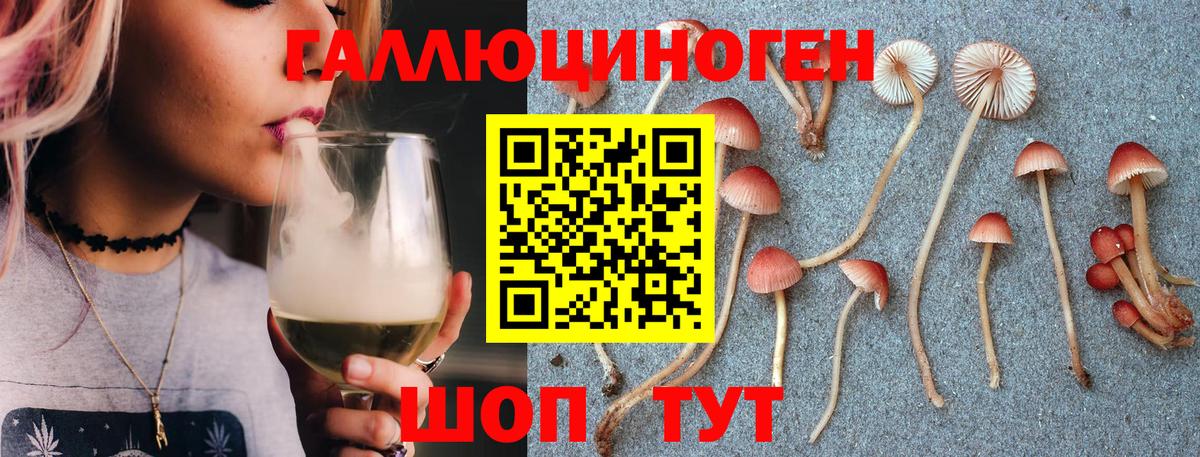 Набережные Челны  Галлюциногенные грибы прущие грибы  Вход с VPN 