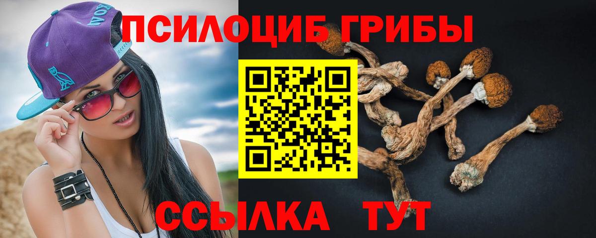 Галлюциногенные грибы Psilocybine cubensis Набережные Челны